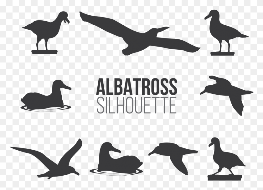 1192x838 Descargar Png Albatros Sillhaouttes Vector Albatros Png, Pájaro, Animal, Naturaleza Hd Png
