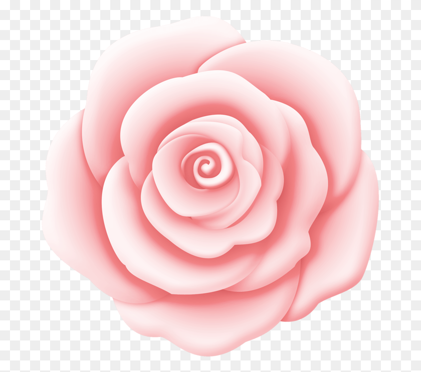 675x683 Descargar Png Álbum Flores Pintura A La Acuarela Tarjeta Libro Jardín Rosas, Rose, Flor, Planta Hd Png
