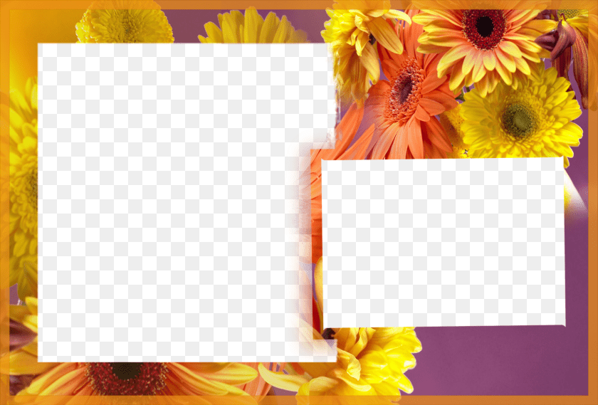 1600x1084 Albums Frames Engagement Frames Love Frames Marriags Birthday Photo Frames With Flowers, Art, Collage, Daisy, Flower Clipart PNG