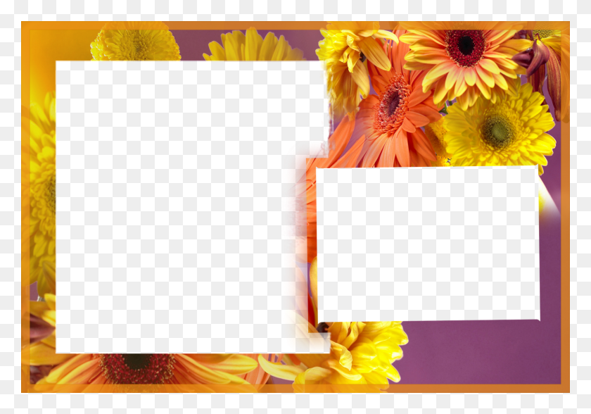 1600x1084 Albums Frames Engagement Frames Love Frames Marriags Birthday Photo Frames With Flowers, Plant, Collage, Poster HD PNG Download