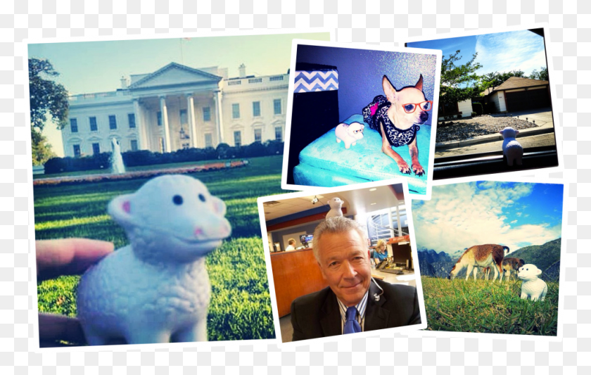 981x595 Albuquerque Journal White House, Collage, Poster, Advertisement HD PNG Download
