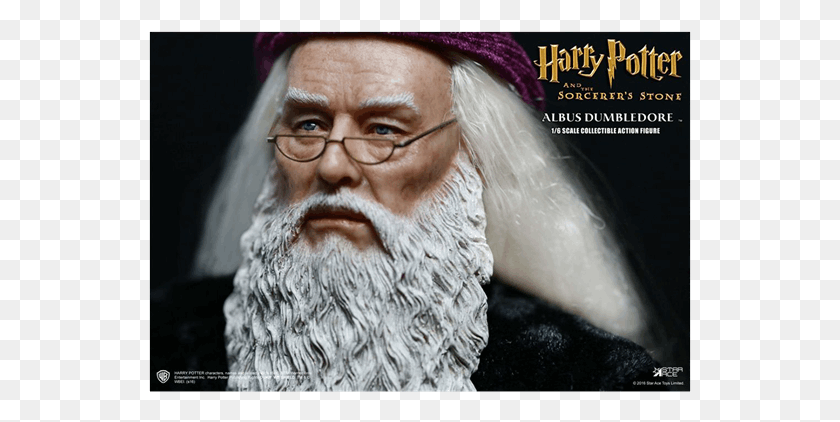 543x362 Albus Dumbledore 16 Scale Star Ace Toys Figure Harry Potter, Face, Person, Human HD PNG Download