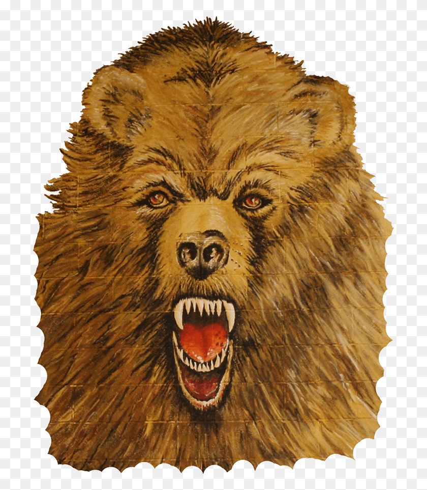 713x902 Алькорн Центральный Золотой Медведь, Млекопитающее, Животное, Дикая Природа Hd Png Скачать