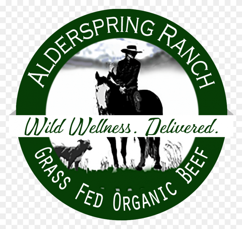 851x801 Alderspring Ranch Icon Stallion, Label, Text, Person HD PNG Download
