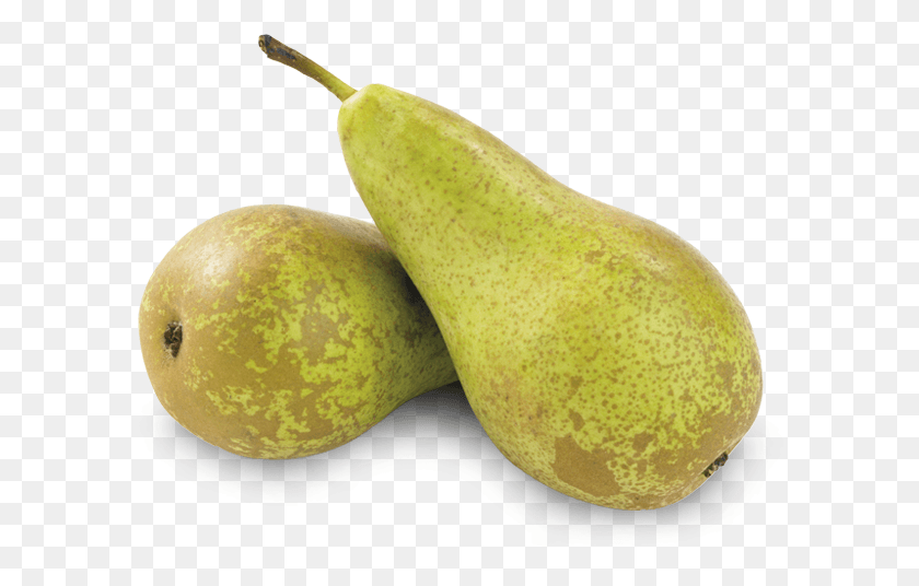 609x476 Alegria Fruit Pears Conference Asian Pear, Plant, Food, Banana HD PNG Download