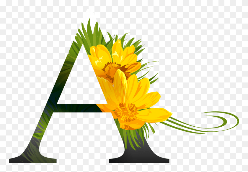 1601x1076 Alfabeto Decorativo Flores Декоративные Буквы, Растение, Цветок, Цветение Png Скачать