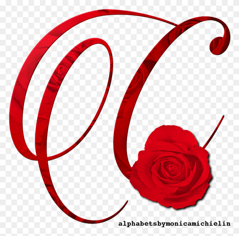 967x953 Descargar Png Alfabeto Rosa Vermelha Rosa Roja Alfabeto Rosas De Jardín, Ropa, Ropa Hd Png