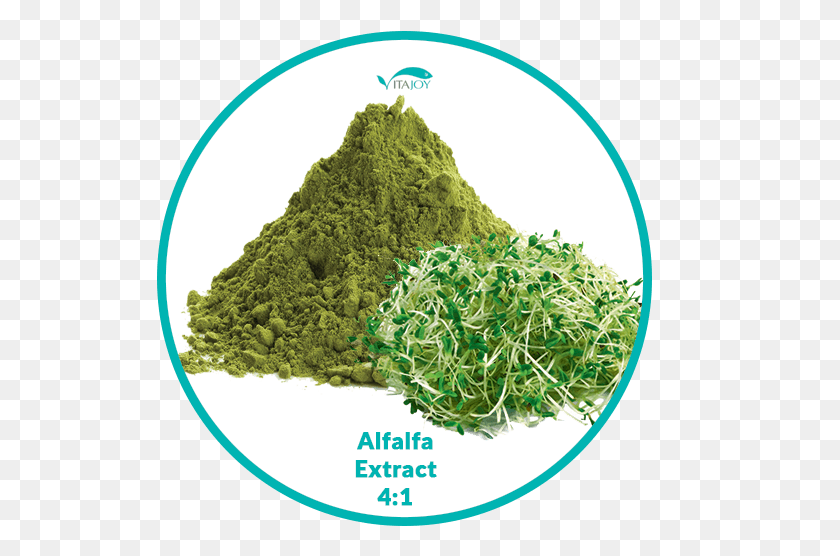 528x496 Alfalfa Extract Moss, Plant, Powder, Spice HD PNG Download