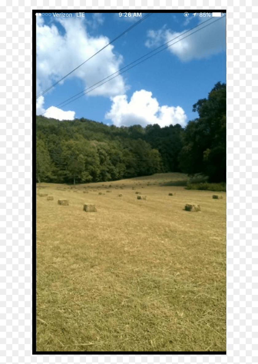 634x1125 Alfalfa Square Bales Grass, Field, Nature, Outdoors HD PNG Download