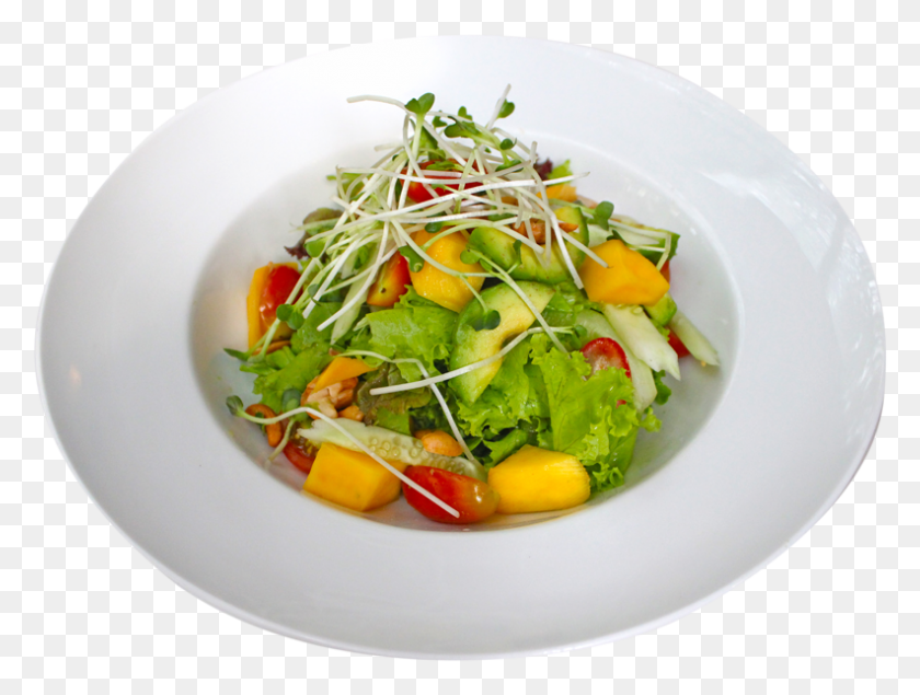 792x584 Alfhcm Summer Salad Garden Salad, Plant, Produce, Food HD PNG Download