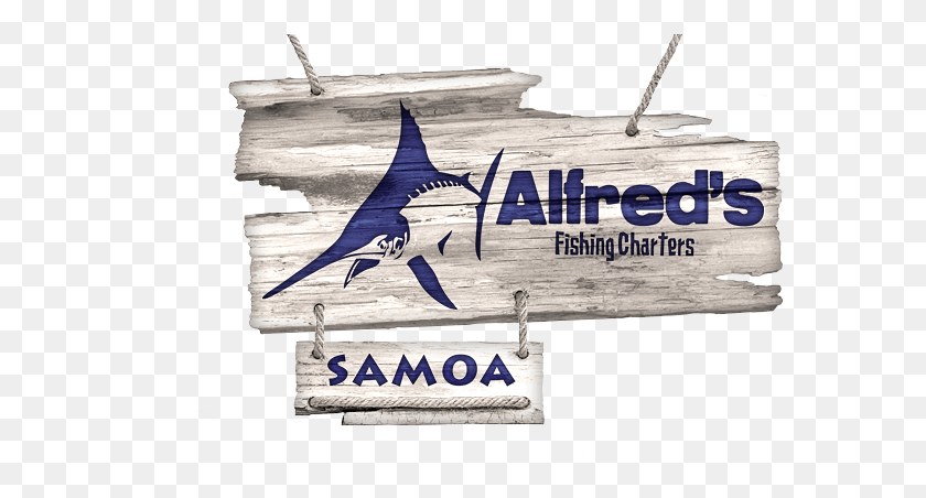 582x392 Alfreds Fishing Charter Самоа Атлантический Голубой Марлин, Рыба-Меч, Морская Жизнь, Рыба Png Скачать
