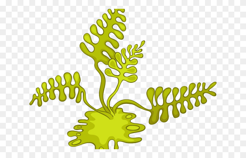 640x480 Algae Cartoon Cliparts Algae Cartoon, Plant, Tree, Leaf HD PNG Download