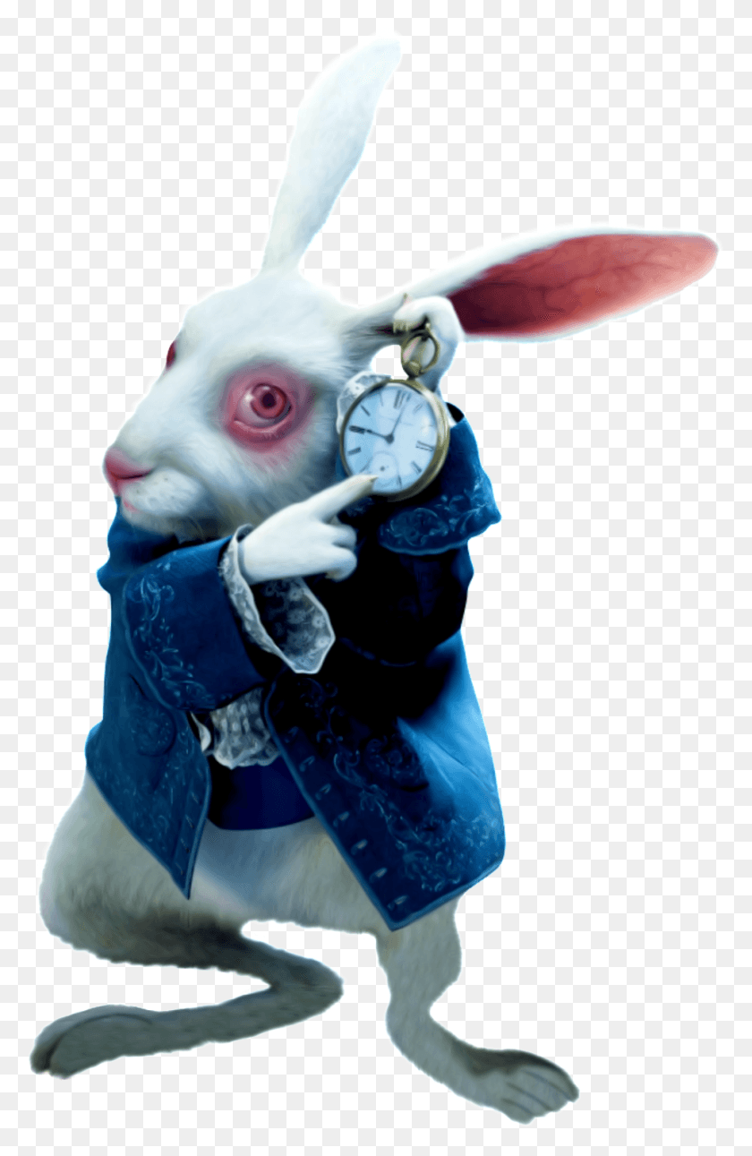962x1519 Alice In Wonderland Alice In Wonderland 2010 Rabbit, Mammal, Animal, Person HD PNG Download