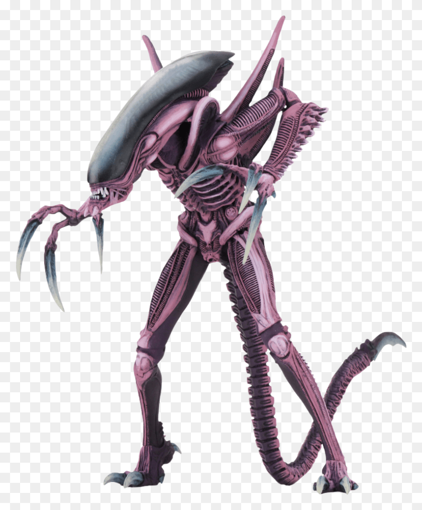794x972 Alien Action Figure, Skeleton HD PNG Download