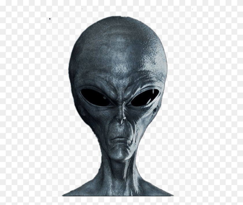 500x649 Descargar Png / Extraterrestre Gris Png