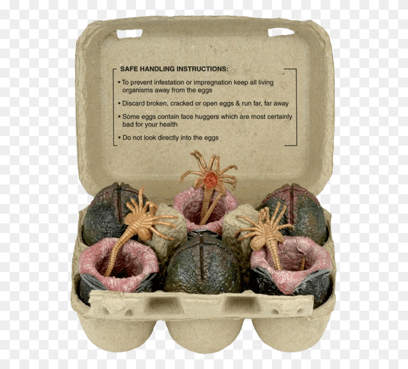 549x700 Alien Xenomorph Egg Set In Carton Neca Alien Eggs 6 Pack, Plant, Food, Vegetable HD PNG Download