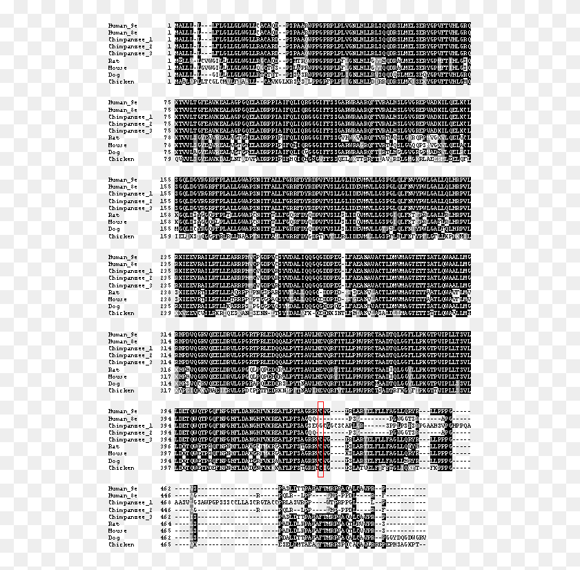 529x765 Alignment Of The Deduced Cyp2w1 Amino Acid Sequences Monochrome, Word, Text, Number HD PNG Download
