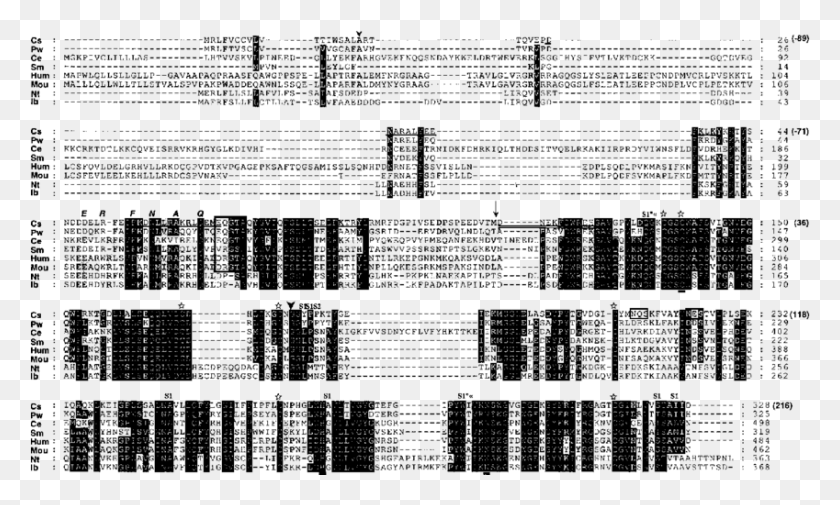 849x485 Alignment Of The Predicted Amino Acid Sequence Of A Monochrome, Gray, World Of Warcraft HD PNG Download