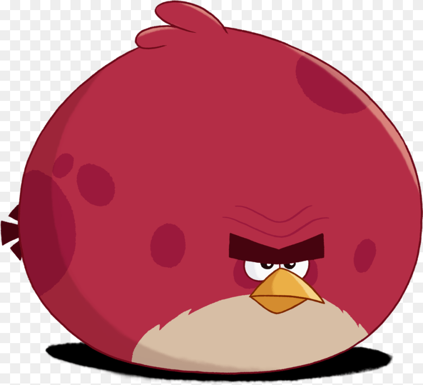 1010x917 Alison Dilaurentis Terence De Angry Birds, Adult, Person, Head, Woman Sticker PNG