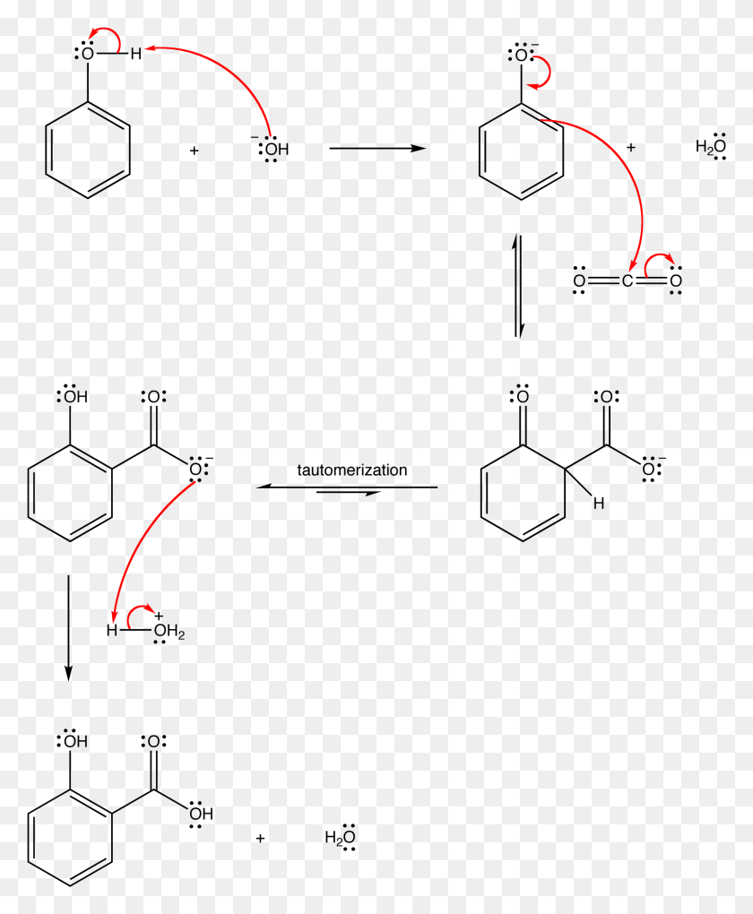 1808x2226 Alkylation Of Phenol Mechanism, Nature, Outdoors, Text HD PNG Download