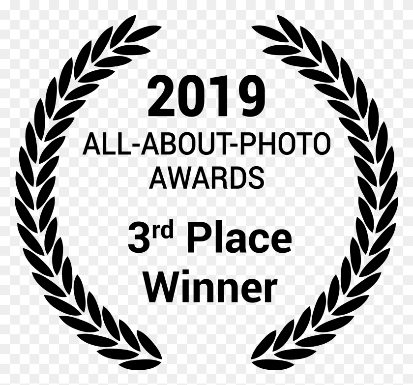 2415x2240 All About Photo Awards 2019 Photographer Awards, Gray, World Of Warcraft HD PNG Download