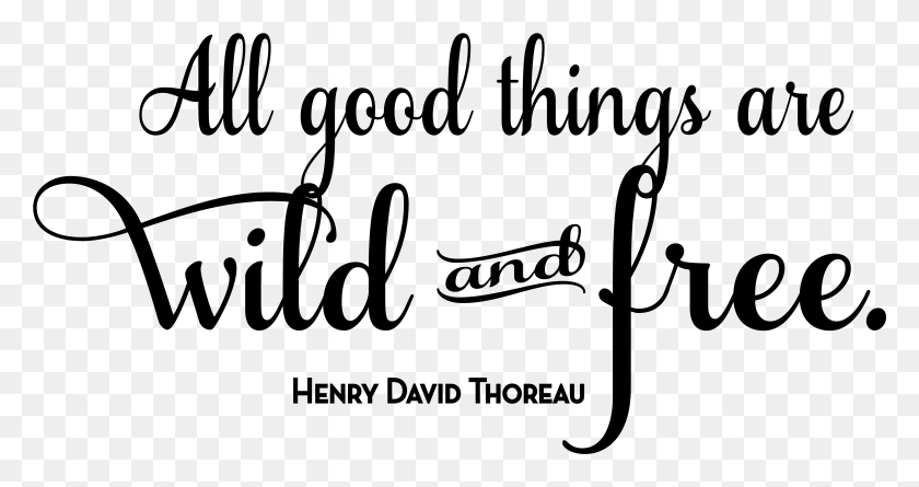 4531x2242 All Good Things Are Wild And Free All Good Things Are, Gray, World Of Warcraft HD PNG Download