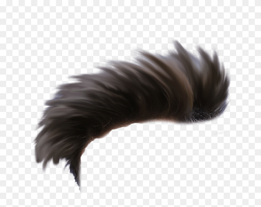 713x606 All Heir One Side Hair, Nature, Outdoors, Dog HD PNG Download