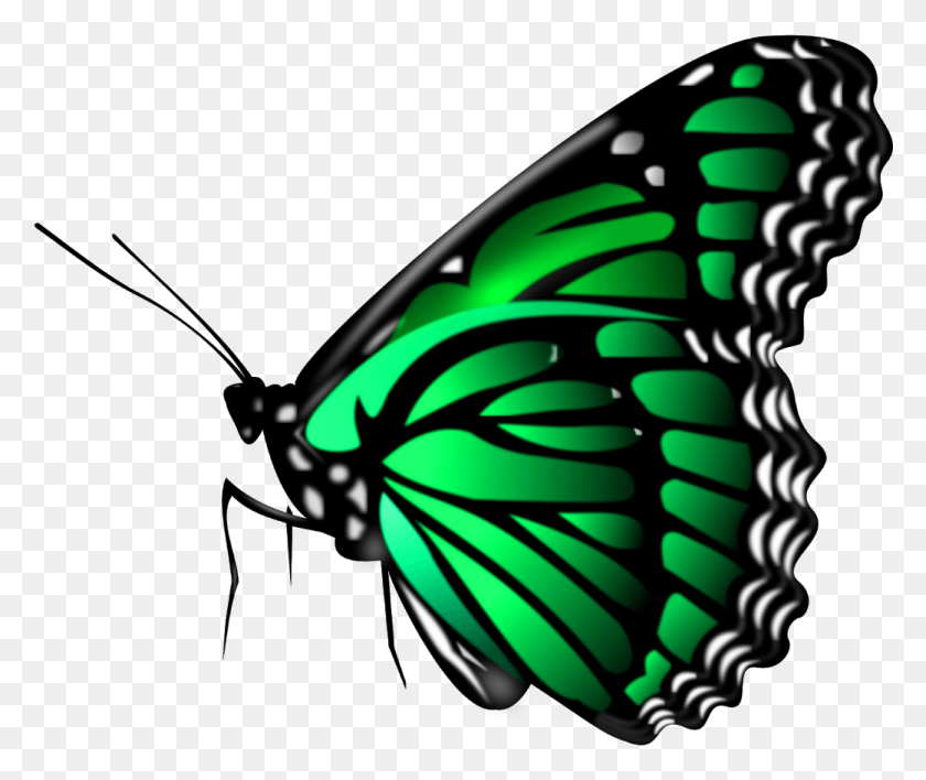 1041x866 All New Editing Picsart Butterfly, Insect, Invertebrate, Animal HD PNG Download
