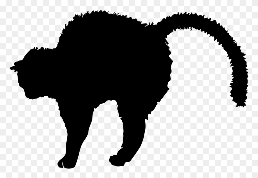 964x641 All Photo Clipart Cats Fighting Silhouette Transparent, Gray, World Of Warcraft HD PNG Download