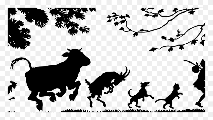 1038x550 Все Сообщения Джона Грина Всемирный День Зоонозов 2018, Лошадь, Млекопитающее, Животное Hd Png Скачать
