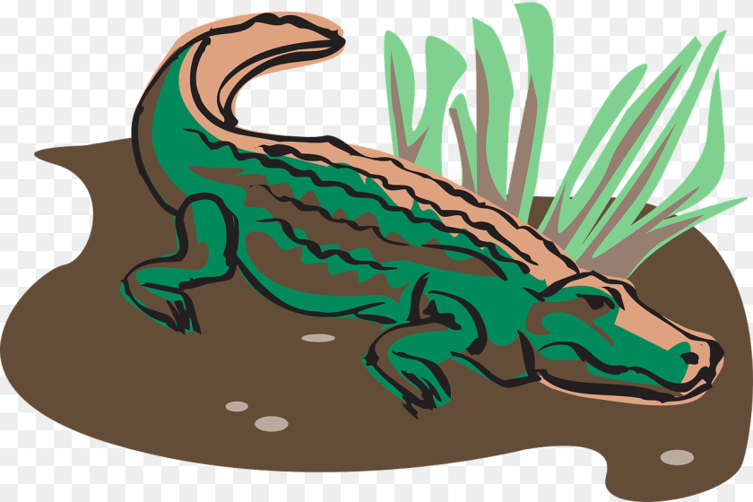 Alligator In Mud Cartoon, Animal PNG