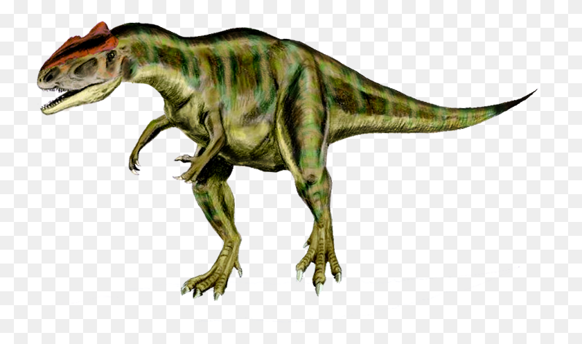 735x436 Descargar Png / Allosaurus 2 Allosaurus, Dinosaurio, Reptil, Animal Hd Png