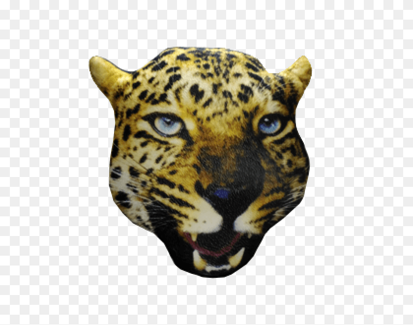 601x601 Almofada Leopardo African Leopard, Panther, Wildlife, Mammal HD PNG Download