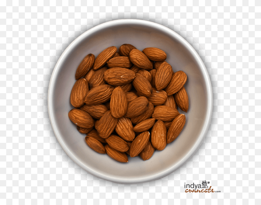 600x600 Almond, Plant, Nut, Vegetable HD PNG Download