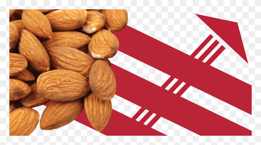 1200x630 Almond, Nut, Vegetable, Plant HD PNG Download