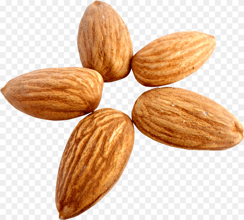 1509x1361 Almond, Food, Grain, Produce, Seed Clipart PNG