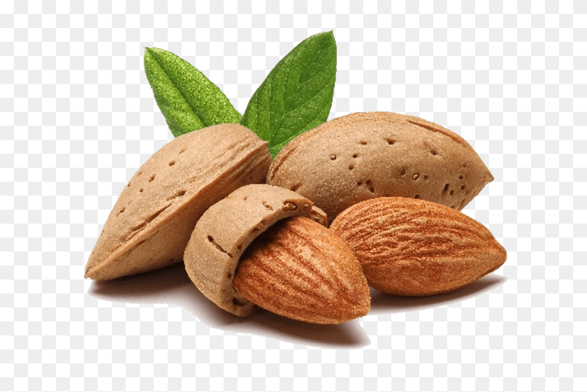 Almond, Food, Grain, Produce, Seed Sticker PNG