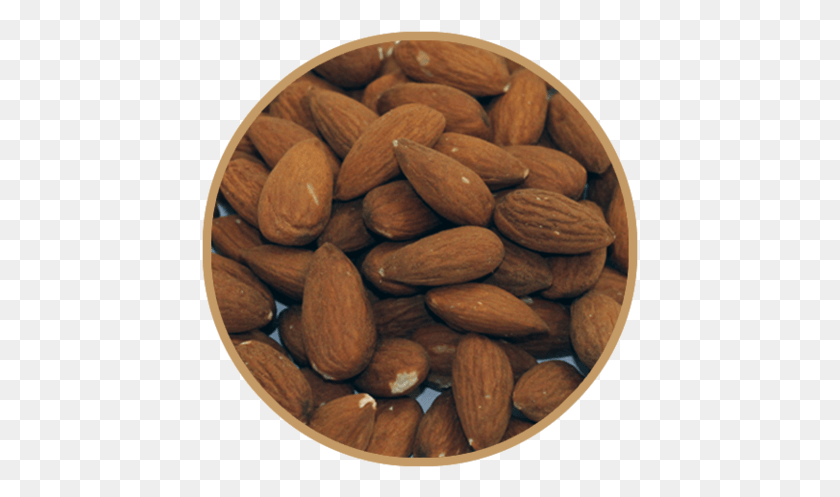 437x437 Almond, Nut, Vegetable, Plant HD PNG Download