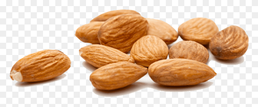 880x328 Almond Almonds Benefits For Bodybuilding, Plant, Nut, Vegetable HD PNG Download