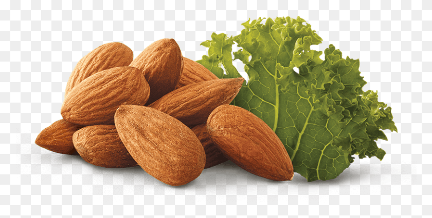 811x380 Almond And Kale Leaf Vegetable, Plant, Nut, Food HD PNG Download