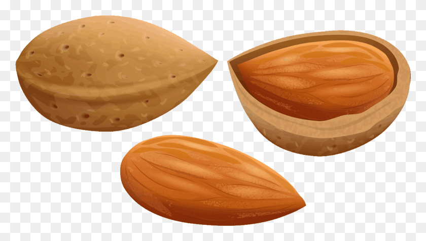 1236x660 Almond Clipart File Almond Clipart, Plant, Vegetable, Food HD PNG Download