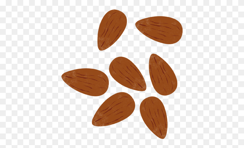 421x450 Almond Flakes Wood, Nut, Vegetable, Plant HD PNG Download