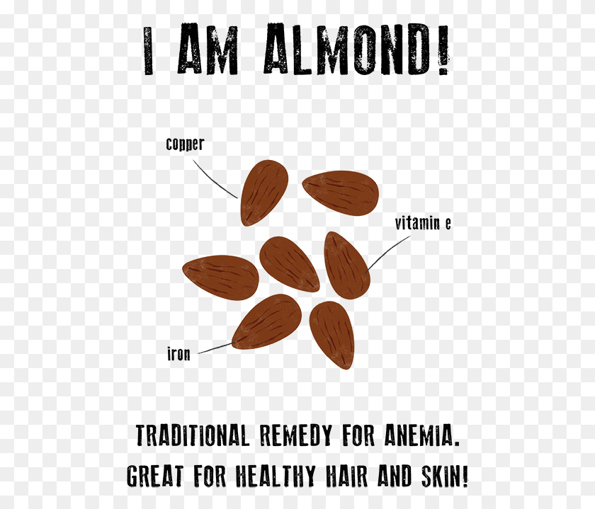 484x659 Almond Poster, Plant, Nut, Vegetable HD PNG Download
