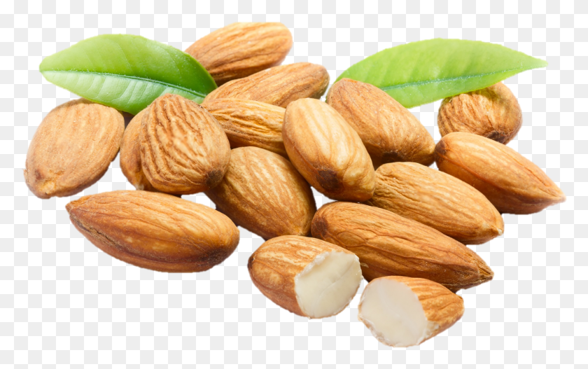 1341x803 Almonds, Plant, Almond, Nut HD PNG Download