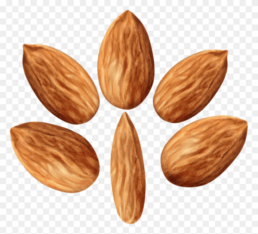 850x767 Almonds Set Clipart Photo Almond, Plant, Nut, Vegetable HD PNG Download