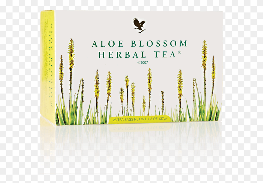 587x527 Aloe Blossom Herbal Tea Forever Aloe Blossom Herbal Tea, Grass, Plant, Bird HD PNG Download