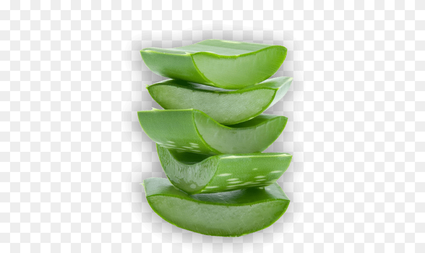 474x500 Aloe Gamora Gold, Blade, Cooking, Knife, Sliced PNG