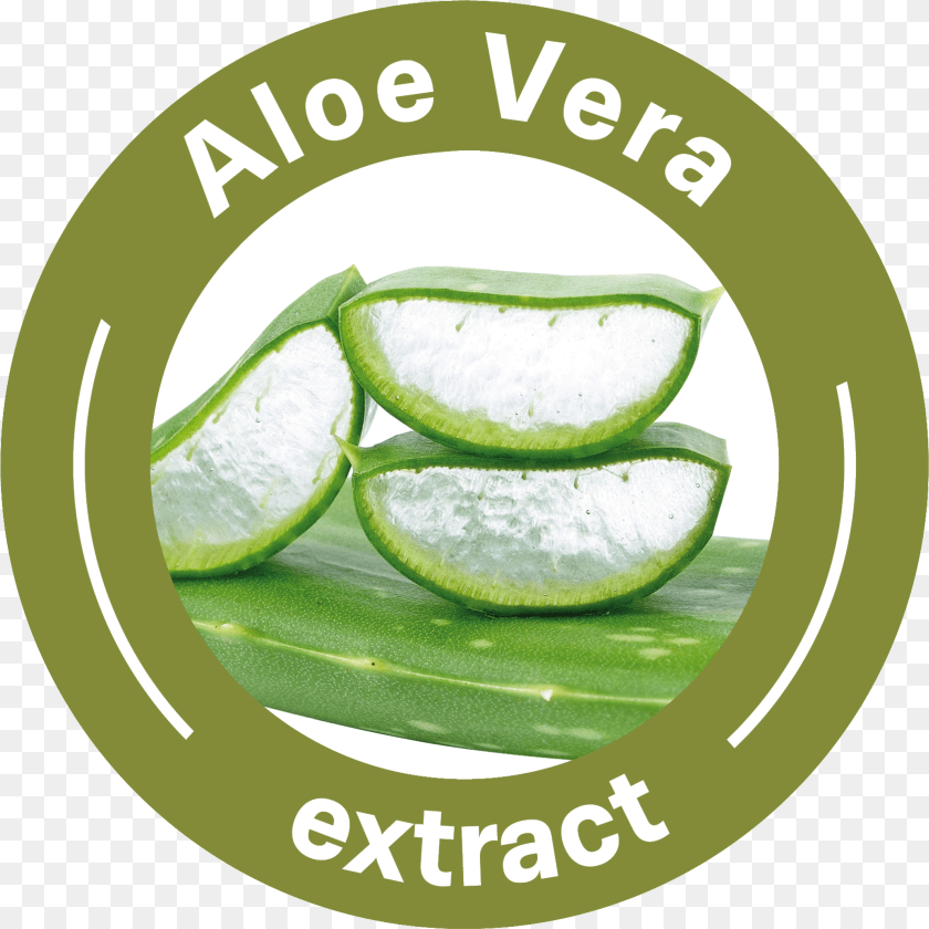 Aloe Vera Textile Clipart PNG