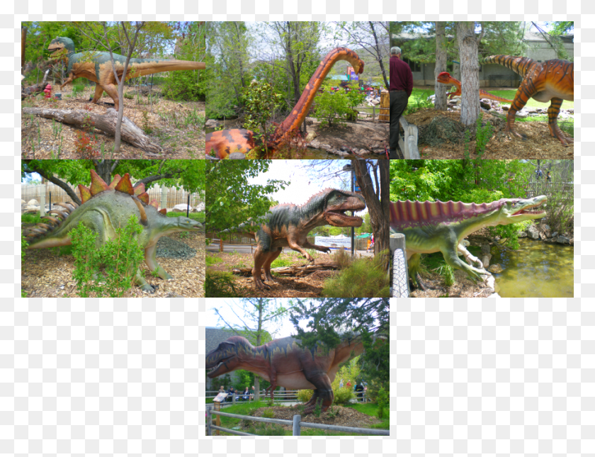 900x675 Descargar Png En El Camino Vimos Tyrannosaurus, Dinosaurio, Reptil, Animal Hd Png
