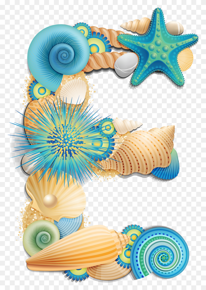 1888x2710 Alpha Blue Shell Letters Clip Art, Sea Life, Animal, Invertebrate HD PNG Download